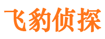 西青侦探公司